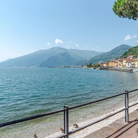 公寓 Guesthost - Roomy Flat In With Small Balcony