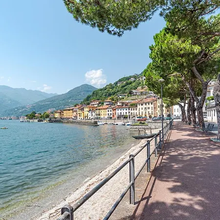 Guesthost - Roomy Flat In With Small Balcony 公寓